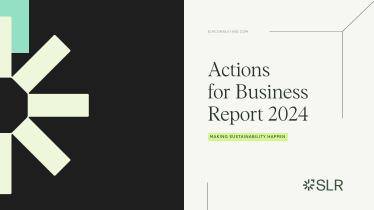 SLR Actions For Business Report 2024.pdf